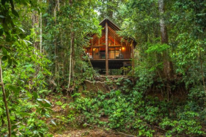Отель The Canopy Rainforest Treehouses & Wildlife Sanctuary  Тарзали